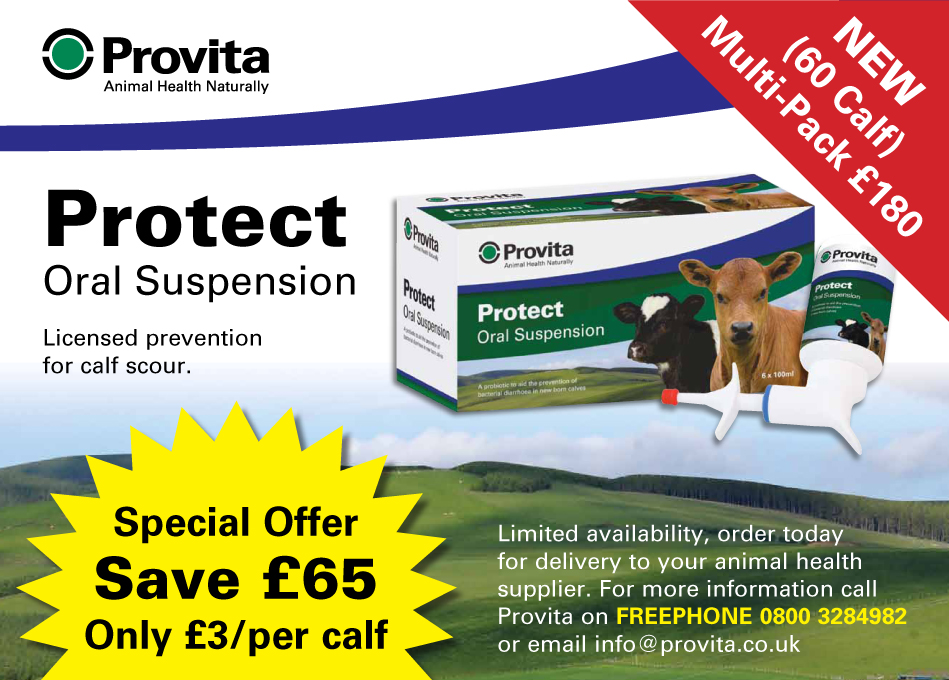 1702-03 Protect Poster