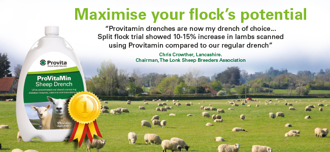 Provita Animal Health