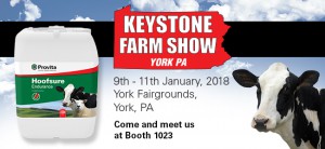 3299 Keystone slider-01 3299 Keystone slider-01