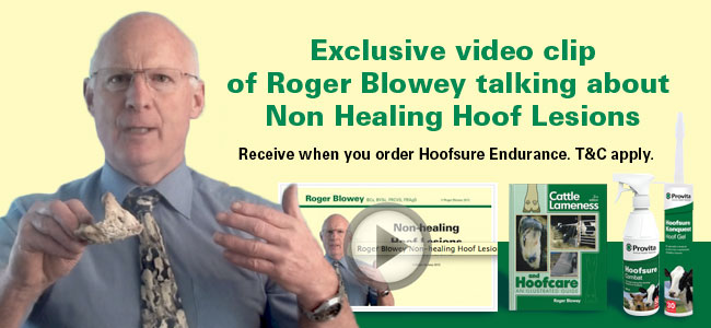 Roger Blowey Offer