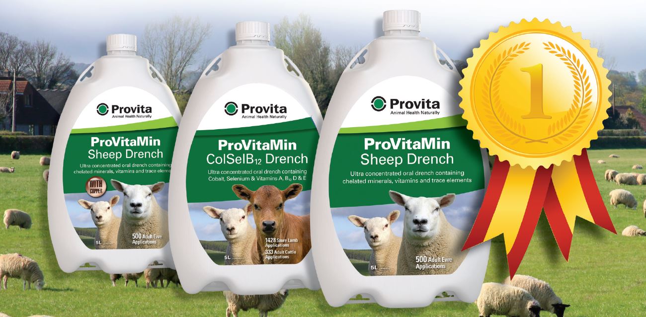 ProVitaMin Sheep – Read what satisfied flock owners have to say ...